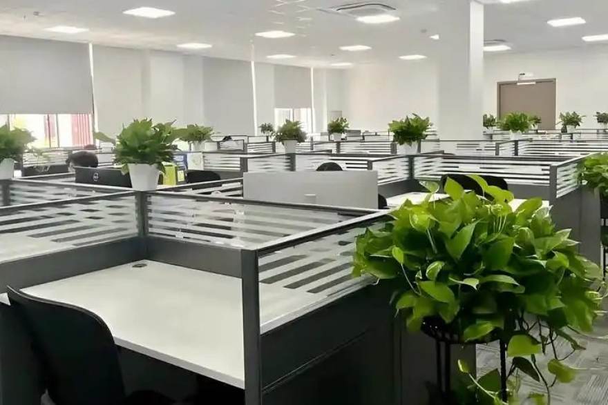 从青训营到英超首发：一位边锋的三年成长路线图